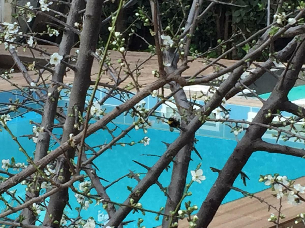 Sunny Rhodes Villa Κοσκινού Εξωτερικό φωτογραφία