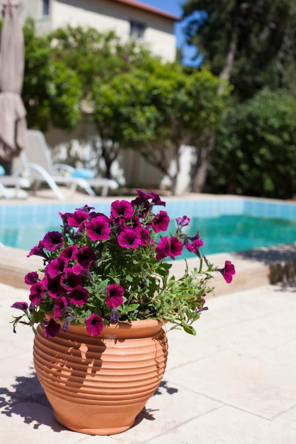 Sunny Rhodes Villa Κοσκινού Εξωτερικό φωτογραφία