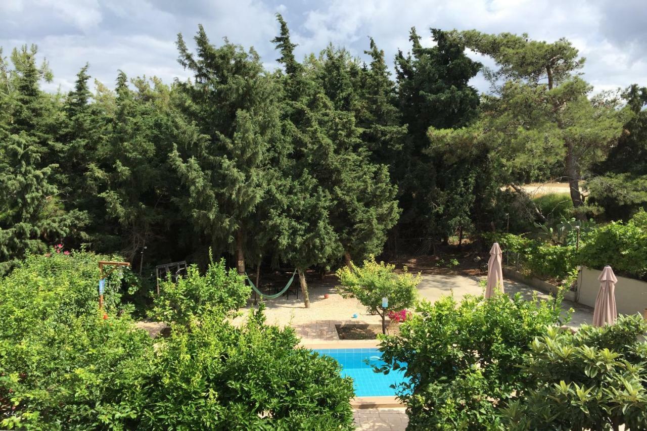 Sunny Rhodes Villa Κοσκινού Εξωτερικό φωτογραφία